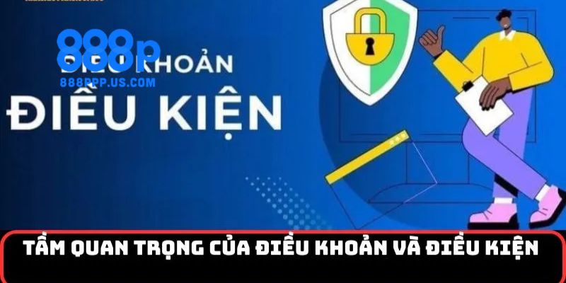 Quyền lợi và nghĩa vụ của người chơi trong điều khoản 888P